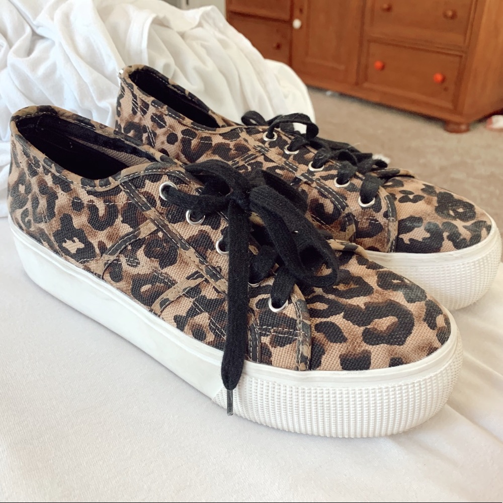 Steve Madden Shoes